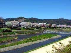 �D�啶��2010/04/08�j�B�e