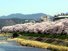 �@�Q�啶��2011/04/12�j�B�e