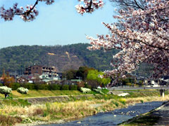 �@�Q�啶���i2011/04/14�j�B�e