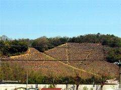 ���Q�啶���i�k�R�ʂ�j